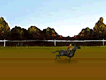 Horse Jump
